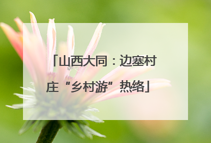 山西大同：边塞村庄“乡村游”热络